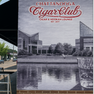 Mural "Pared Rugosa"